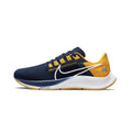 Nike Air Zoom Pegasus Unissex